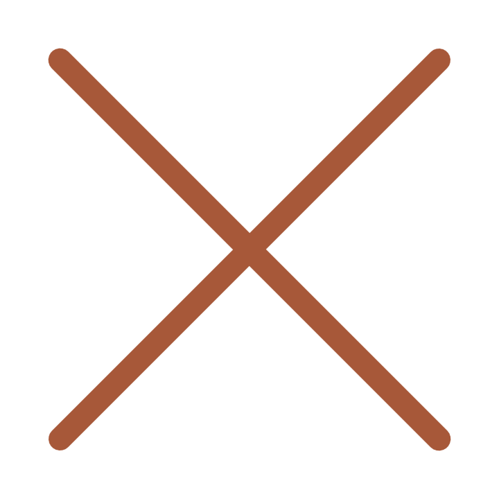Close Icon